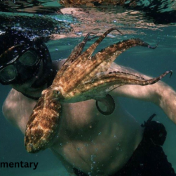 octopus documentary